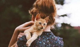 女人 狗 漫画,女人与狗的温馨漫画故事